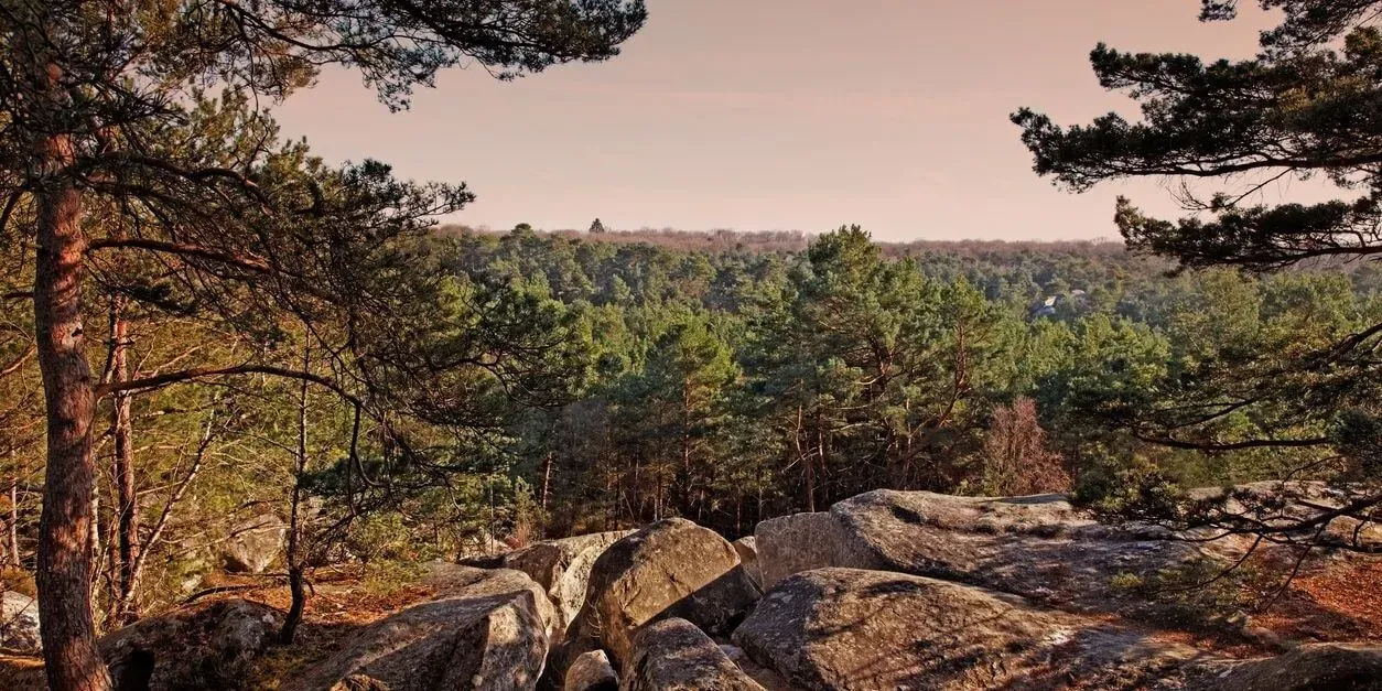 Fontainebleau