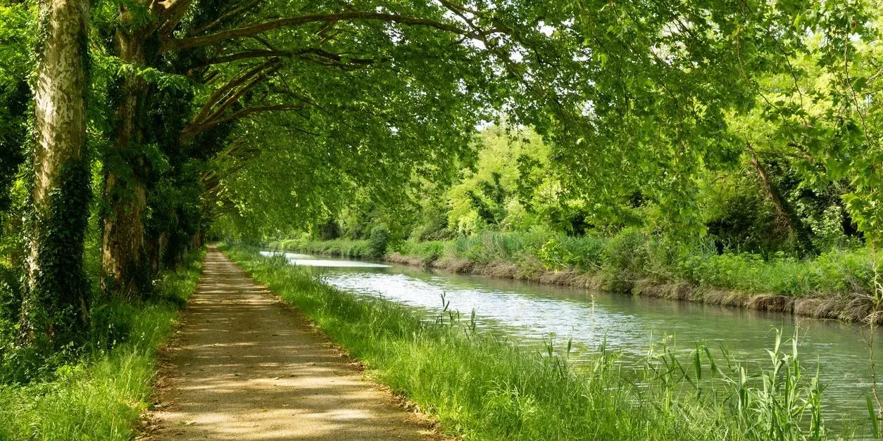 Nature au bord de l'eau
