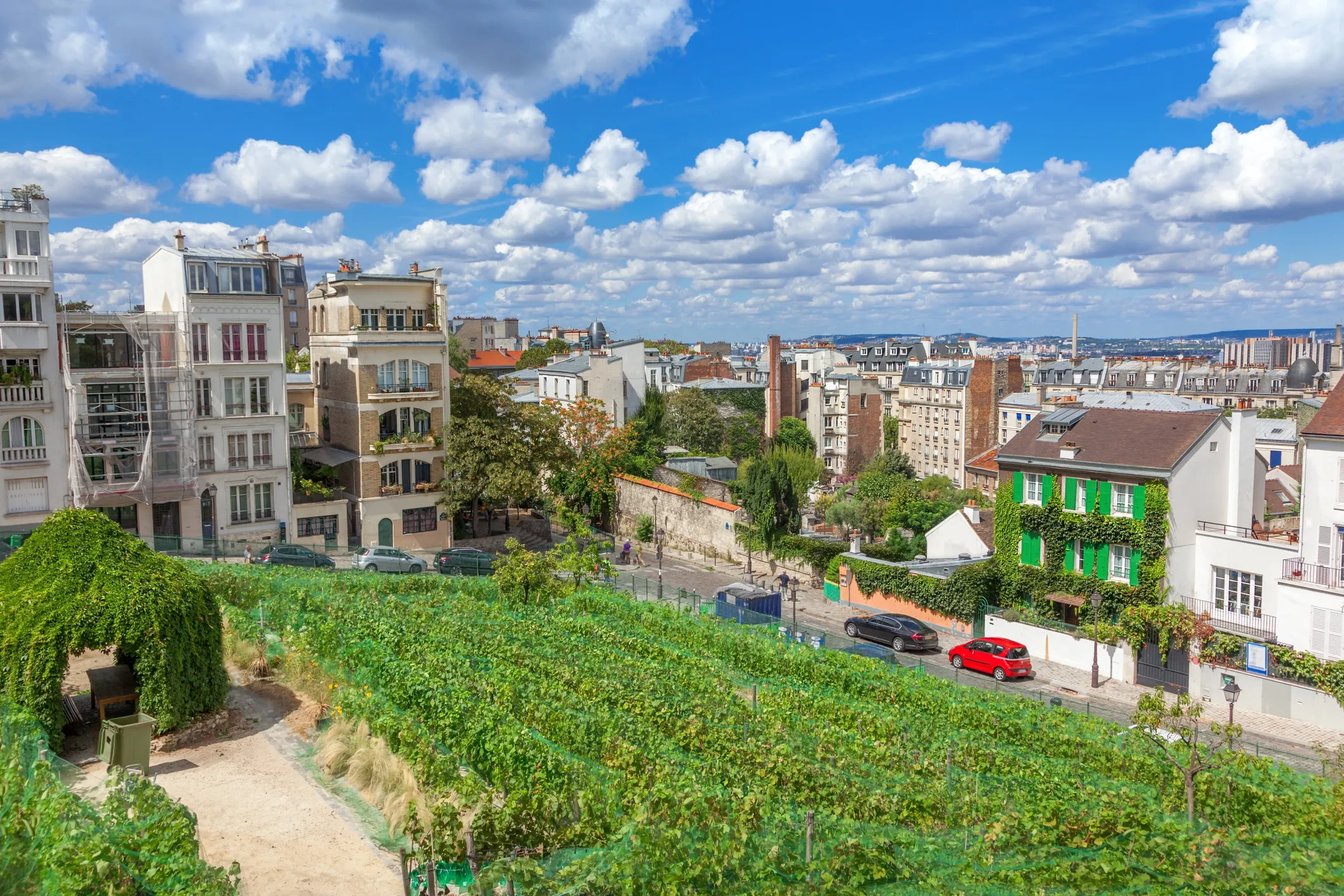 Vignoble de Montmartre